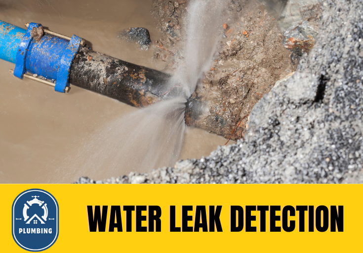 leak detection Whitstable